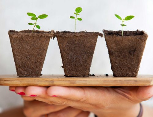 The power of yet – Turning setbacks into growth